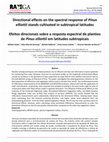 Research paper thumbnail of Directional Effects on the Spectral Response of Pinus Elliottii Stands Cultivated in Subtropical Latitudes