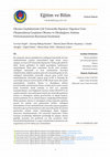 Research paper thumbnail of Double-Deficit Hypothesis and Reading Difficulties: A Longitudinal Analysis of Reading and Reading Comprehension Performance of Groups Formed According to This Hypothesis