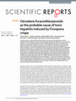 Research paper thumbnail of Clerodane furanoditerpenoids as the probable cause of toxic hepatitis induced by Tinospora crispa