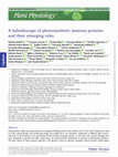 Research paper thumbnail of A kaleidoscope of photosynthetic antenna proteins and their emerging roles