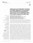 Research paper thumbnail of Antifungal and Antibiofilm Activities of B-Type Oligomeric Procyanidins From Commiphora leptophloeos Used Alone or in Combination With Fluconazole Against Candida spp