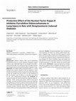 Research paper thumbnail of Protective Effect of a Nuclear Factor-Kappa B Inhibitor on Ischemia-Reperfusion Injury in a Rat Epigastric Flap Model