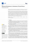 Research paper thumbnail of Molecular Mechanisms in Autoimmune Thyroid Disease