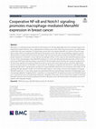 Research paper thumbnail of Cooperative NF-κB and Notch1 signaling promotes macrophage-mediated MenaINV expression in breast cancer