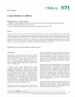 Research paper thumbnail of Cryptorchidism in stallions