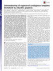 Research paper thumbnail of Osteoinductivity of engineered cartilaginous templates devitalized by inducible apoptosis