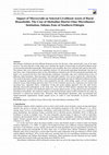 Research paper thumbnail of Impact of Microcredit on Selected Livelihood Assets of Rural Households: The Case of Shebedino District Omo Microfinance Institution, Sidama Zone of Southern Ethiopia