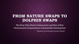 Research paper thumbnail of From Nature Swaps to Dolphin Swaps: The Paris Club, Nature Conservancy and Role of Non Governmental Organizations in Sustainable Development (Presentation Slides)