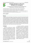 Research paper thumbnail of Adubação silicatada no cultivo semi-hidropônico do morangueiro