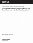 Research paper thumbnail of Coagulant and sorbent efficacy in removing mercury from surface waters in the Cache Creek watershed, California