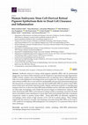 Research paper thumbnail of Human Embryonic Stem Cell-Derived Retinal Pigment Epithelium-Role in Dead Cell Clearance and Inflammation