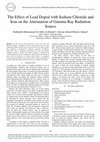 Research paper thumbnail of The Effect of Lead Doped with Sodium Chloride and Iron on the Attenuation of Gamma Ray Radiation Source