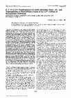 Research paper thumbnail of 2′,3′-O-(2,4,6-Trinitrophenyl)-8-Azido-adenosine Mono-, Di-, and Triphosphates as Photoaffinity Probes of the Ca2+-ATPase of Sarcoplasmic Reticulum