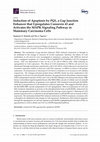 Research paper thumbnail of Induction of Apoptosis by PQ1, a Gap Junction Enhancer that Upregulates Connexin 43 and Activates the MAPK Signaling Pathway in Mammary Carcinoma Cells