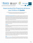 Research paper thumbnail of Impact productif du Programme de bourse pour l?enfance en Zambie