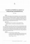 Research paper thumbnail of Les Droits De Propriete Au Coeur De La Problematique Environnementale