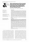 Research paper thumbnail of Abies nordmanniana and Picea orientalis forests from the Colchic region (Western Caucasus) and new concept of Euxine dark coniferous forests classification in the Braun-Blanquet system