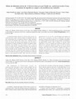 Research paper thumbnail of Efeito de diferentes níveis de Colletotrichum gossypii South var. cephalosporioides Costa, em plantas de algodão no campo e sua incidência nas sementes