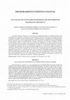 Research paper thumbnail of Avaliação de cultivares de mamona em cruzamentos dialélicos parciais