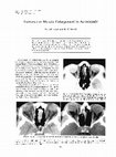 Research paper thumbnail of Extraocular Muscle Enlargement in Acromegaly