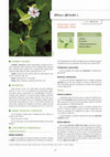 Research paper thumbnail of Althaea officinalis L