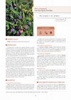 Research paper thumbnail of Oliva arbequina: Les Garrigues (Lérida)