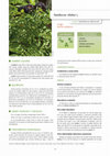 Research paper thumbnail of Sambucus ebulus L