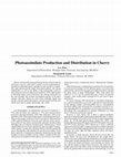 Research paper thumbnail of Photoassimilate Production and Distribution in Cherry