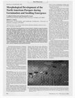 Research paper thumbnail of Morphological Development of the North American Pawpaw during Germination and Seedling Emergence