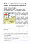 Research paper thumbnail of Trichuris trichiura in the mummified remains of southern Siberian nomads