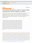 Research paper thumbnail of The Welwitschia genome reveals a unique biology underpinning extreme longevity in deserts