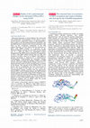 Research paper thumbnail of The structural basis of asymmetry in DNA recognition and catalysis: binding and cleavage by the I-SmaMI meganuclease