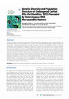 Research paper thumbnail of Genetic Diversity and Population Structure of Endangered Catfish Rita rita (Hamilton, 1822) Revealed by Heterologous DNA Microsatellite Markers