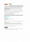 Research paper thumbnail of Dysfonctions mécaniques dans les interstices de l'infrastructure. Ethnographie Mbya Guarani et Paĩ Tavyterã/Kaiowa entre Paraguay et Brésil