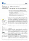 Research paper thumbnail of HypoxaMIRs: Key Regulators of Hallmarks of Colorectal Cancer