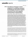 Research paper thumbnail of Prevalence of classes 1 and 2 integrons in multidrug-resistant Acinetobacter baumanni isolates recovered from some aquatic environment in South Africa