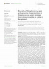 Research paper thumbnail of Diversity of Streptococcus spp. and genomic characteristics of Streptococcus uberis isolated from clinical mastitis of cattle in Bangladesh