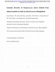 Research paper thumbnail of Genomic diversity of<i>Streptococcus uberis</i>isolated from clinical mastitis of cattle in selected areas of Bangladesh