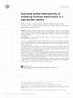 Research paper thumbnail of Assessing spatial heterogeneity of multidrug-resistant tuberculosis in a high-burden country