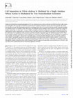 Research paper thumbnail of Cell Separation in Vibrio cholerae Is Mediated by a Single Amidase Whose Action Is Modulated by Two Nonredundant Activators