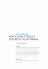 Research paper thumbnail of Agrocumbustibles y seguridad alimentaria