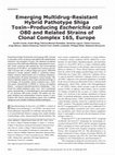 Research paper thumbnail of Emerging Multidrug-Resistant Hybrid Pathotype Shiga Toxin–Producing <i>Escherichia coli</i> O80 and Related Strains of Clonal Complex 165, Europe