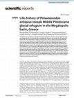 Research paper thumbnail of Life-history of Palaeoloxodon antiquus reveals Middle Pleistocene glacial refugium in the Megalopolis basin, Greece