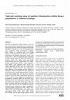 Research paper thumbnail of Yield and nutritive value of sainfoin (Onobrychis vicifolia Scop.) populations in different cuttings