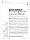 Research paper thumbnail of Astrocytes and Müller Cell Alterations During Retinal Degeneration in a Transgenic Rat Model of Retinitis Pigmentosa