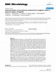 Research paper thumbnail of Characterisation of mycobacteria isolated from slaughter cattle in pastoral regions of Uganda