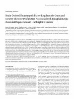 Research paper thumbnail of Brain-Derived Neurotrophic Factor Regulates the Onset and Severity of Motor Dysfunction Associated with Enkephalinergic Neuronal Degeneration in Huntington's Disease.