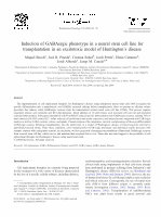 Research paper thumbnail of Induction of GABAergic Phenotype in a Neural Stem Cell Line for Transplantation in an Excitotoxic Model of Huntington's Disease.