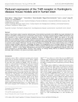 Research paper thumbnail of Reduced Expression of theTrkB Receptor in Huntington's Disease Mouse Models and in Human Brain