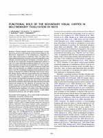 Research paper thumbnail of Functional Role of the Secondary Visual Cortex in Multisensory Facilitation in Rats